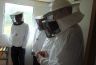 Impressionen Bienenkurs